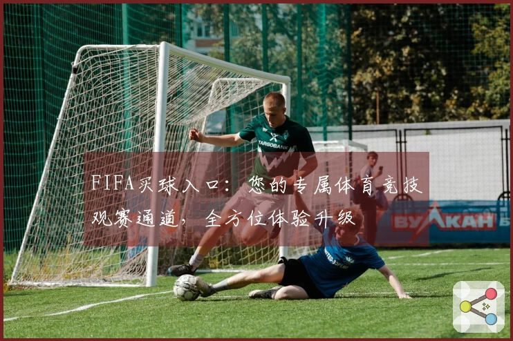 FIFA买球入口：您的专属体育竞技观赛通道，全方位体验升级