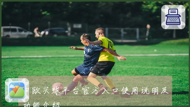中欧买球平台官方入口使用说明及功能介绍